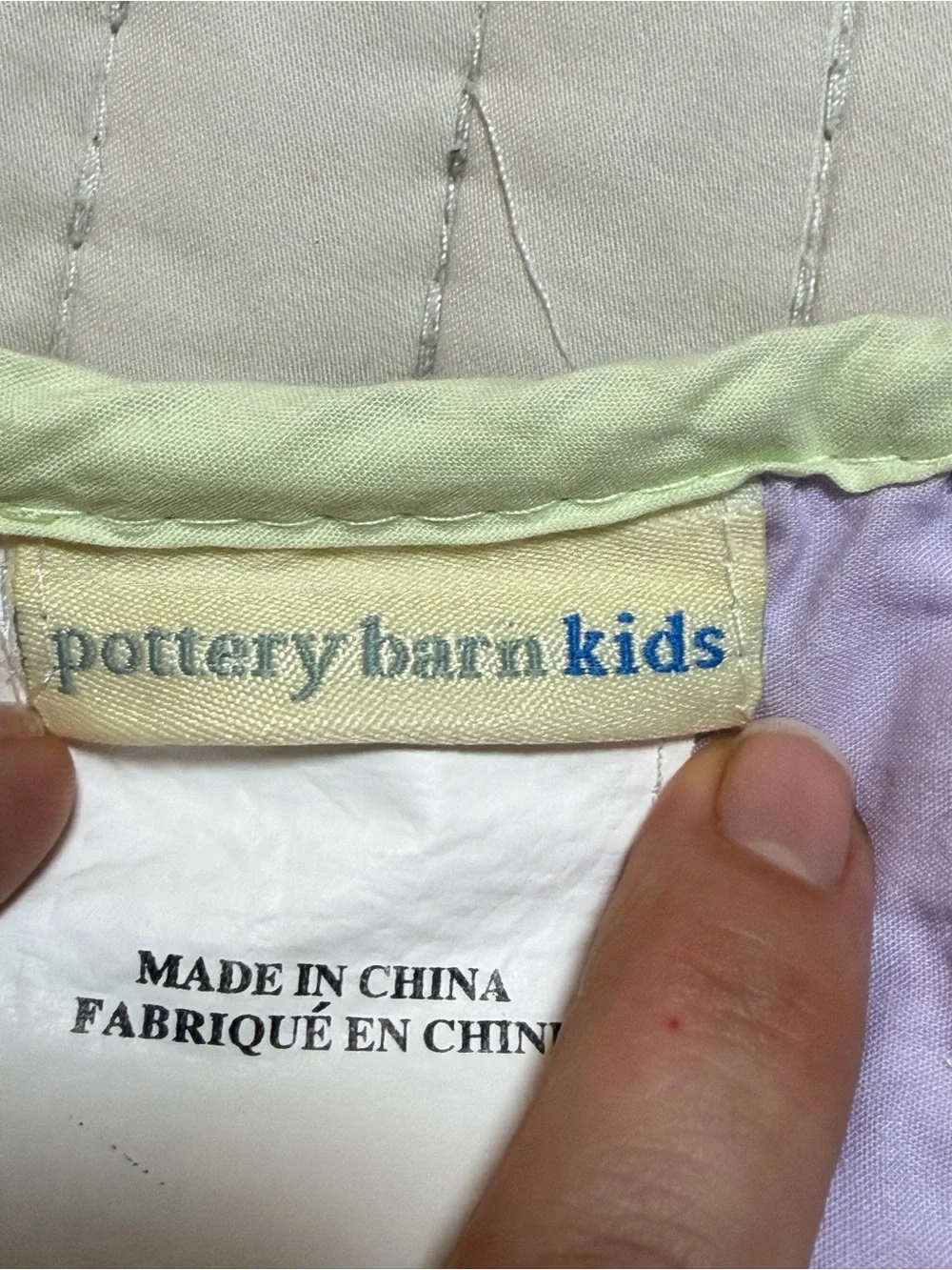 Pottery Barn Kids Daisy Garden Lavender Standard Shams Set of 2 Embroidered Flor